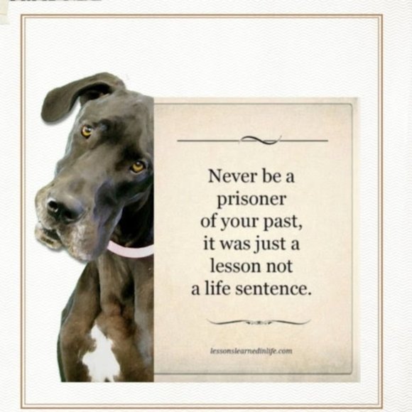 Meet your Posher, Connie - Picture 2 of 5